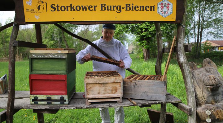 Der Imker Holger Ackermann an dem Bienenstock, der jetzt beschädigt wurde. Foto: Marcel Gäding