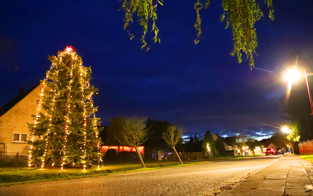 Weihnachtsbaum-in-Kummersdorf