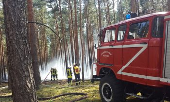 Waldbrände halten Feuerwehren in Atem