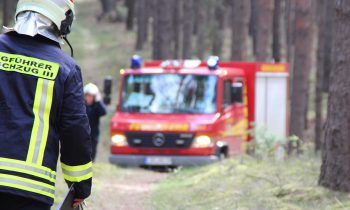 Waldbrandgefahr steigt: Alle Osterfeuer abgesagt!