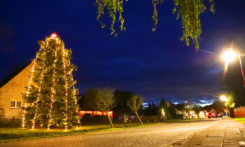 Festlich beleuchteter Weihnachtsbaum im Zentrum von Kummersdorf. Foto: Marcel Gäding