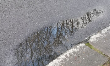 Niederschläge in Storkow (Mark): Wohin mit dem Regenwasser?