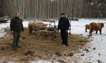 Stephan (links) und Björn Schulze auf einer der beiden Weiden in Bugk. Das Futter für ihre Schottischen Hochlandrinder bauen sie selbst an. Foto: Marcel Gäding