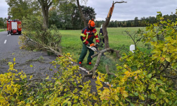 Ein Truppmann der Freiwilligen Feuerwehr Groß Eichholz beseitigt am Donnerstag, den 21. Oktober 2021, mit Hilfe einer Motorkettensäge einen beschädigten Pflaumenbaum vor dem Ortseingang von Schwenow. Foto: Marcel Gäding