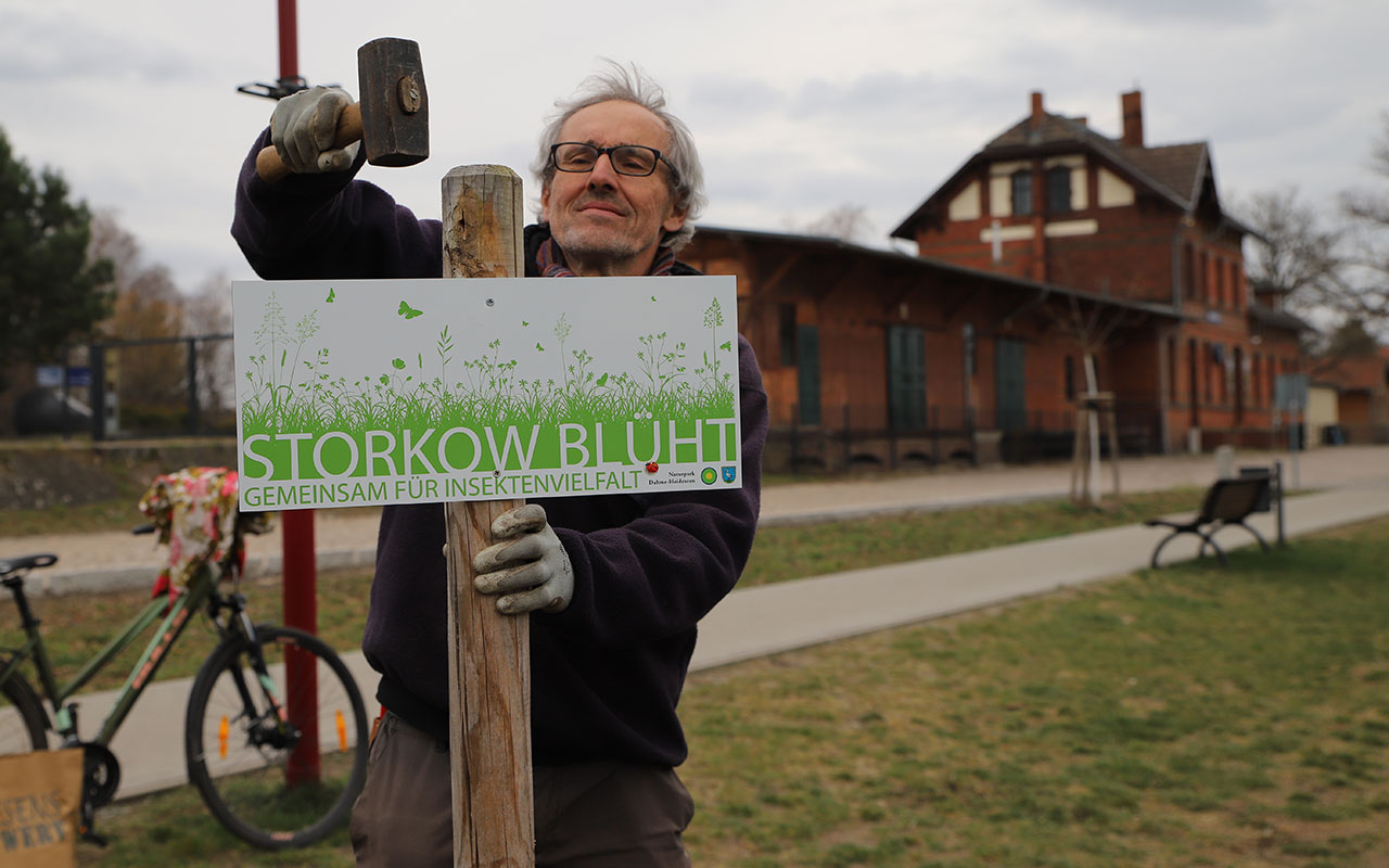 Franz Heitzendorfer vom Naturparkzentrum Dahme-Heideseen kennzeichnet eine Blühfläche am Bahnhof von Storkow (Mark). Foto: Marcel Gäding