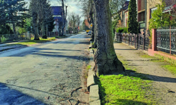 Gerichtstraße vor der Sanierung