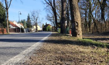 Wege zum rechtssicheren Parken in den Ortsteilen